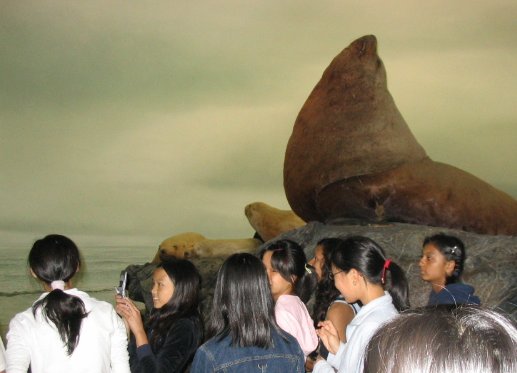 Museum 01.jpg